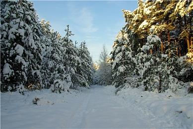 今日梗图：嗯……也许世界需要更多前育碧员工